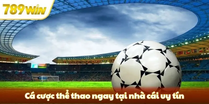 Cá cược thể thao ngay tại nhà cái uy tín