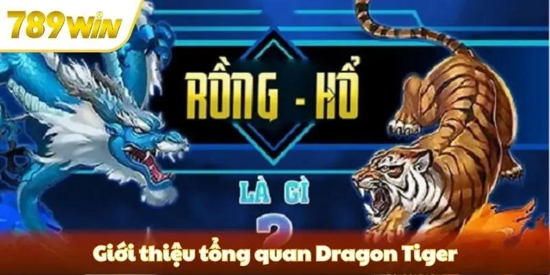 Giới thiệu tổng quan Dragon Tiger