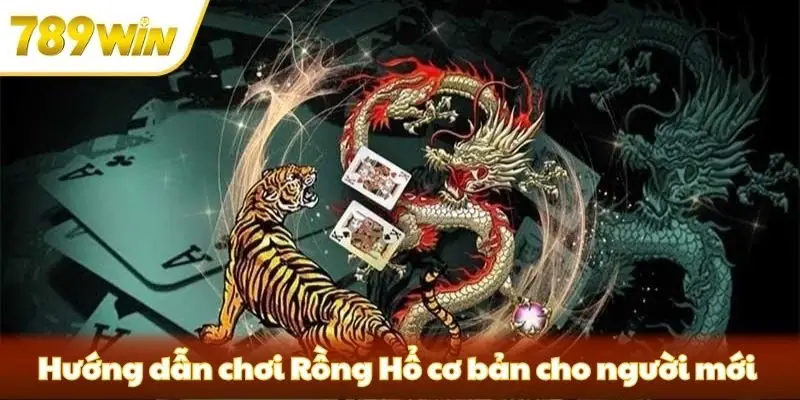 Hướng dẫn chơi Rồng Hổ cơ bản cho người mới