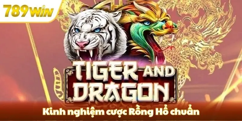 Kinh nghiệm cược Rồng Hổ chuẩn