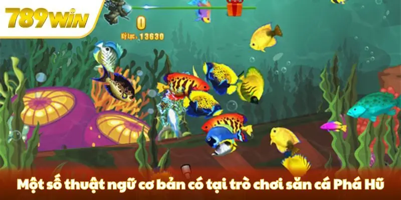 Một số thuật ngữ cơ bản có tại trò chơi bắn cá Phá Hũ