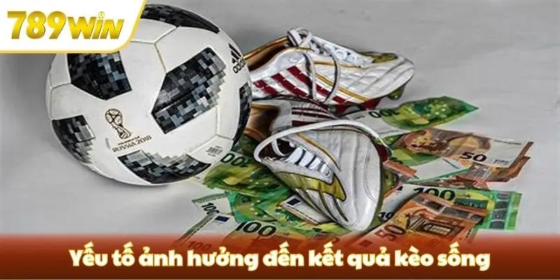 Yếu tố ảnh hưởng đến kết quả kèo sống